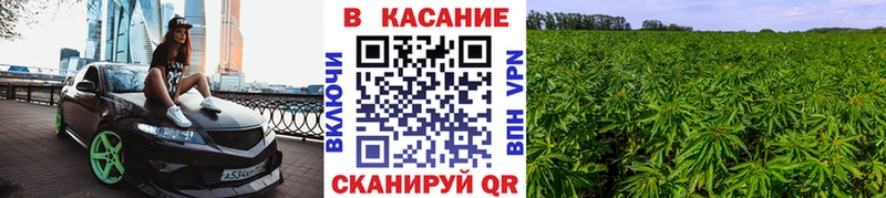 Где купить наркотики Таштагол Канабис Альфа ПВП Псилоцибиновые грибы Меф мяу мяу