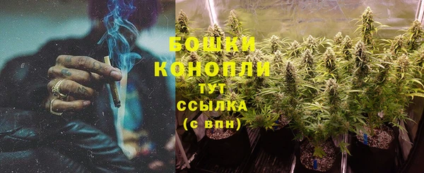крисы Мегион