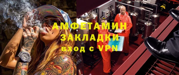 крисы Мегион